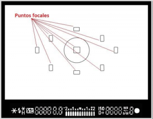 Puntos Focales Concentra Tu Enfoque En Diferentes Partes Del Cuadro