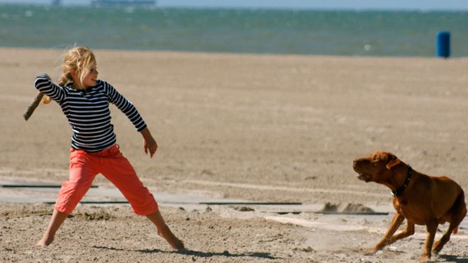 En esta foto de la niña se añade al perro para equilibrar la escena y dar a entender lo que está sucediendo.