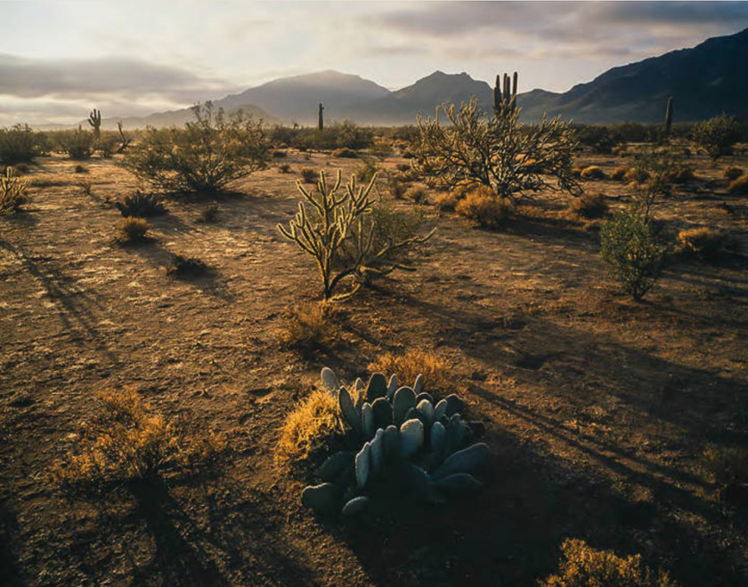 Uso de luz para generar profundidad en fotografía de paisaje