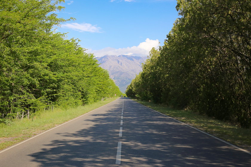 Uso de diagonales para generar profundidad en fotografía de paisaje: ruta de las Sierras cordobesas con camino de árboles al costado y montaña al fondo