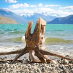 Uso de superposición para crear profundidad en fotografía de paisaje: tronco superpuesto en playa de lago de la Patagonia argentina