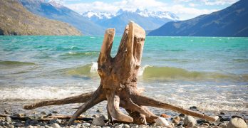 Uso de superposición para crear profundidad en fotografía de paisaje: tronco superpuesto en playa de lago de la Patagonia argentina